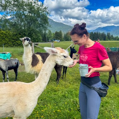 Lama füttern | © Janna Kamphof